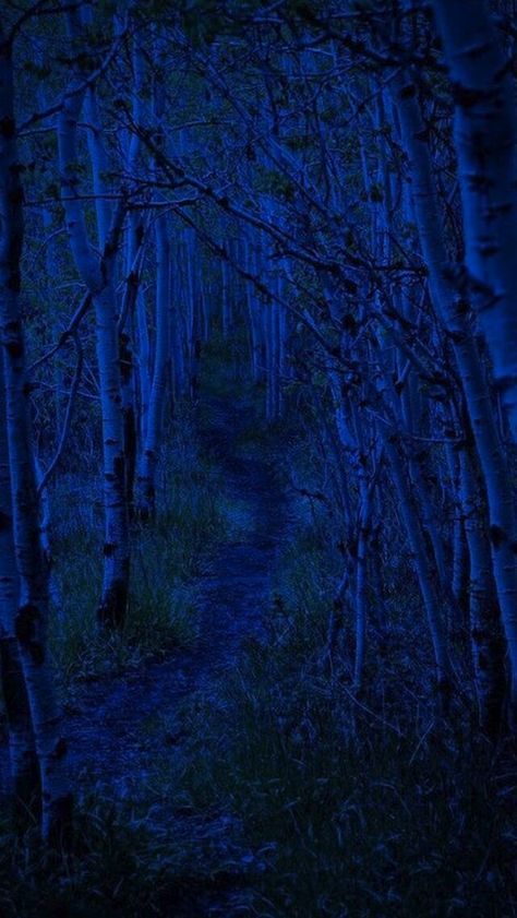 Blue Trees, Blue Aesthetic Dark, Ball Aesthetic, Everything Is Blue, Kind Of Blue, Blue Forest, Pierre Auguste Renoir, Color Studies, Black Aesthetic Wallpaper