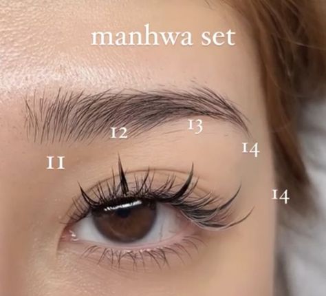 Eye Lashes Styles, Natural Manhua Lash Extensions, Fake Lashes For Asian Eyes, Anime Cat Eye Lash Extensions, Asian Lash Extensions Mapping, Hybrid Anime Lash Extensions, Manhwa Lashes Extension, Anime Eye Lashes Extensions, Natural Manga Lash Extensions