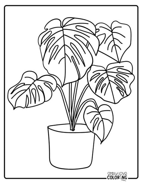 Free Other Plants Coloring Pages - Simply Love Coloring Pot Illustration, Cat Plants, Plant Pot Decoration, Detailed Coloring Pages, Graphic Ideas, Colouring Printables, Different Shades Of Green, Monstera Plant, Flower Coloring Pages