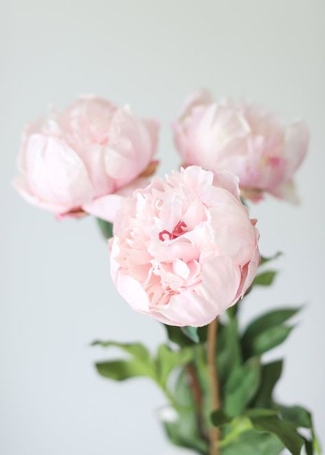 Petals Aesthetic, Closed Peony, Fake Wedding Flowers, Peony Petals, Fake Hydrangeas, Silk Peonies, Artificial Peonies, Silk Flowers Wedding, Fake Flower