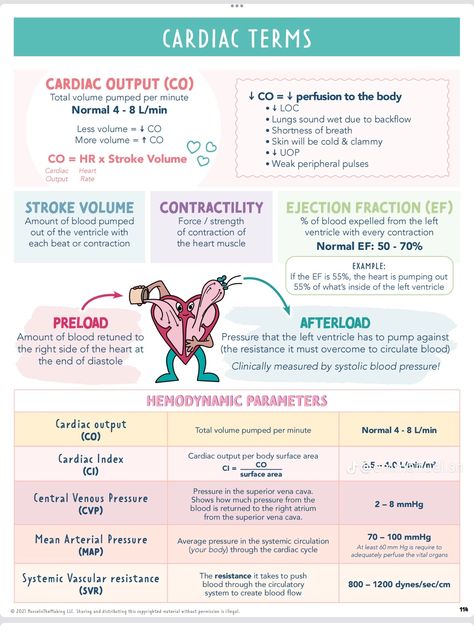 S1 And S2 Heart Sounds Nursing, Med Surg Cardiac, Paramedic Mnemonics, Cardiac Sonography Student, Paramedic Pharmacology, Hemodynamics Nursing, Cardiac Medications Nursing, Cardiovascular Pharmacology, Cardiac Nursing Cheat Sheets