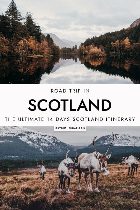 Scotland Itinerary, Best Of Scotland, Scotland Travel Guide, Scotland Vacation, Scotland Road Trip, Ultimate Road Trip, Scotland Highlands, Road Trip Adventure, Visit Scotland