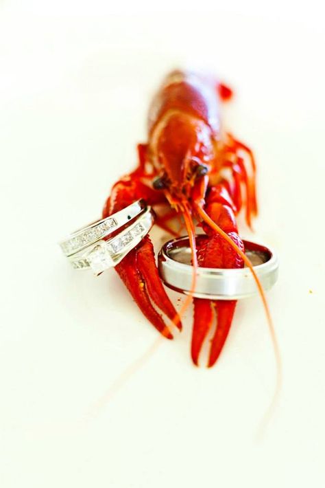 Cajun food at a wedding! Yum! Lobster Wedding, Hunting Wedding Rings, Bayou Wedding, Wedding Nautical, Nola Wedding, Cajun Food, Southern Maine, Louisiana Wedding, Yacht Wedding