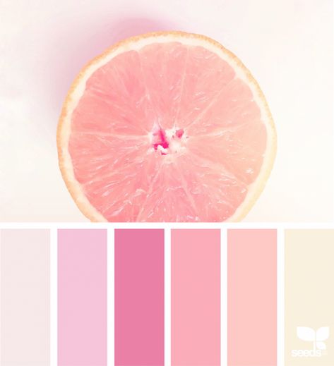 Fresh Hues | fresh hues | Bloglovin’ Color Schemes Colour Palettes, Color Palate, Design Seeds, Vintage Hippie, घर की सजावट, Color Palette Design, Wallpaper Vintage, Pink Grapefruit, Color Inspo