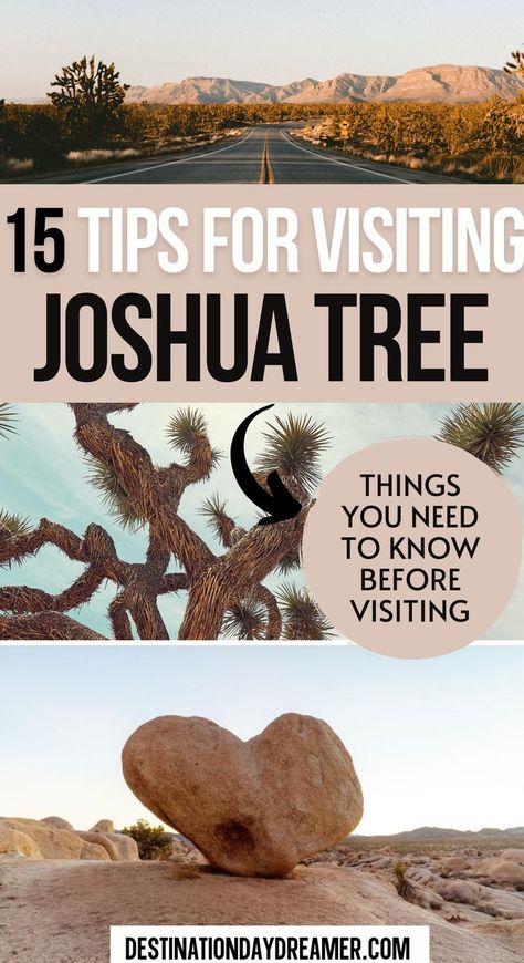 Image of road in desert with words overtop '15 Tips for Visiting Joshua Tree' National Park Outfit, National Park Photoshoot, Joshua Tree National Park Photography, National Park Aesthetic, National Parks In The Us, Joshua Tree Park, Joshua Tree California, National Parks Photography, Best Trip