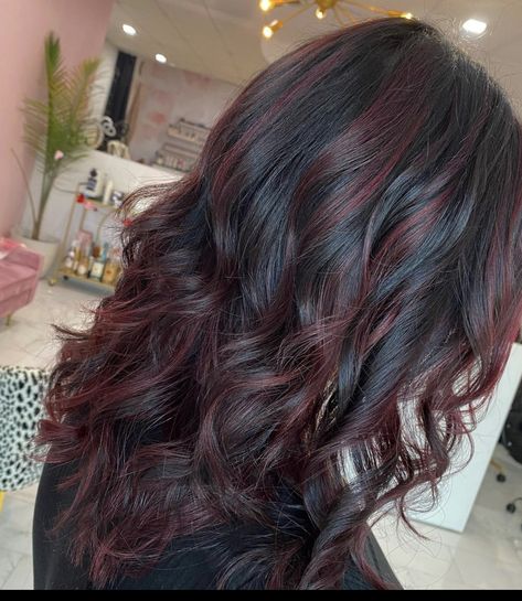 Dark Brown Hair Red Lowlights, Black Hair With Cinnamon Highlights, Partial Red Balayage, Red Gloss On Black Hair, Dark Brown With Red Lowlights, Dark Brown With Tint Of Red, Red Low Lights For Black Hair, Dark Brown Hair With Red Tint Purple Caramel Highlights, Dark Cherry Red Highlights