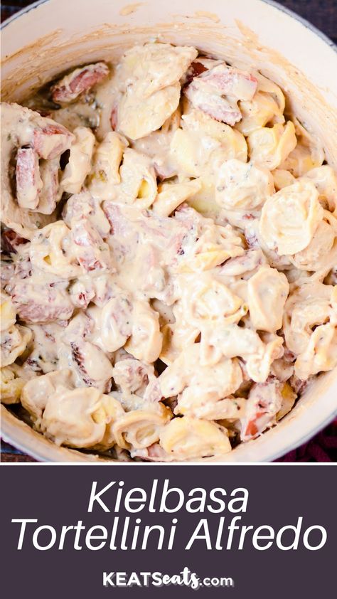 A recipe for tortellini and kielbasa with a homemade, creamy alfredo sauce. Add this pasta dish to your weeknight dinner rotation! Tortellini Recipes With Kielbasa, Tortellini Kielbasa Recipes, Kielbasa Alfredo Pasta, Tortellini And Kielbasa Recipes, Kielbasa And Tortellini Recipes, Kielbasa Tortellini Recipes, Tortellini And Kielbasa, Kielbasa Alfredo, Tortellini Pasta Recipes