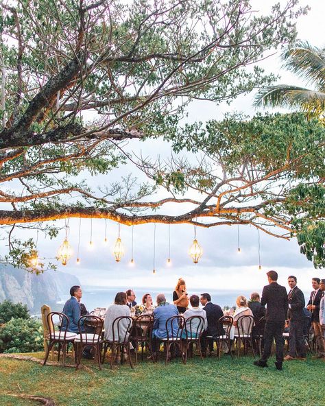 rebecca eryck wedding hawaii reception table tree lights guests Cliffside Wedding, Wedding In Hawaii, Wedding Ceremony Ideas, Small Weddings, Outdoor Wedding Reception, Lake Wedding, Martha Stewart Weddings, Long Table, Wedding Receptions