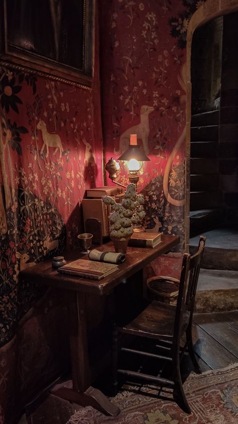 A Gryffindor common room study nook with a lamp and a mimbulus mimbletonia plant on the desk. Hogwarts Room Aesthetic, Mimbulus Mimbletonia, Hogwarts Common Rooms, Hogwarts Dorm, Dark Academia Desk, Plant Instagram, Christmas At Hogwarts, Hogwarts Room, Interior Paint Schemes