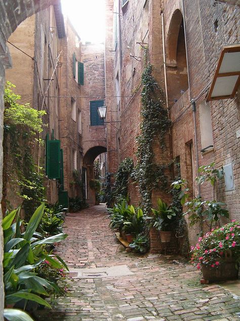 Small street in Sienna, Italy. Been there. Want to go back really really bad. Sienna Italy, Small Street, Destination Unknown, Toscana Italia, Tuscany Italy, Umbria, Pretty Places, Dream Destinations, Places Around The World