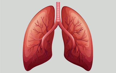 https://moosmosis.files.wordpress.com/2018/04/shortness-of-breath-lungs-breathing.gif Lungs Painting Acrylic, School Drawings, Respiratory Acidosis, Home Remedies For Allergies, Warts Remedy, The Respiratory System, Constant Headaches, Natural Remedies For Migraines, Healthy Life Hacks