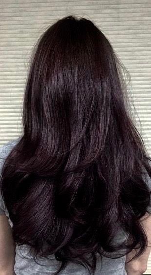 Brunette With Cherry Highlights, Dark Cherry Black Hair, Cool Toned Chocolate Brown Hair, Cherry Highlights On Dark Hair, Purple Brunette Hair, Black Hair With Red Undertones, Black Cherry Hair Color Dark, Black Cherry Highlights, Plum Brown Hair Color