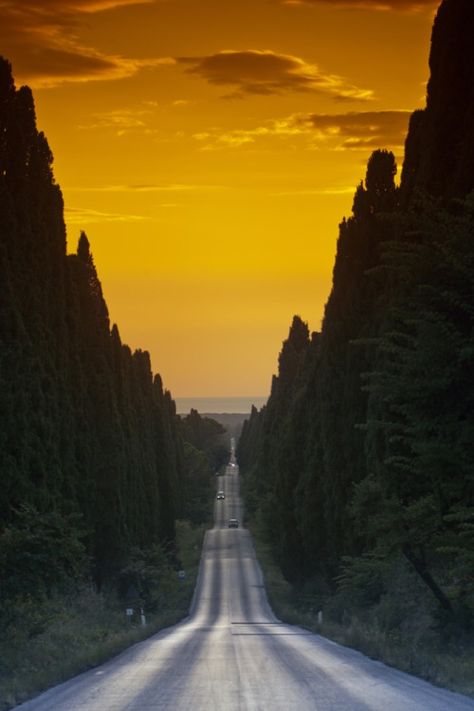 Toscana Italia, Beautiful Roads, Tuscany Italy, Elba, Mellow Yellow, Pretty Places, Lucca, Siena, Wonderful Places