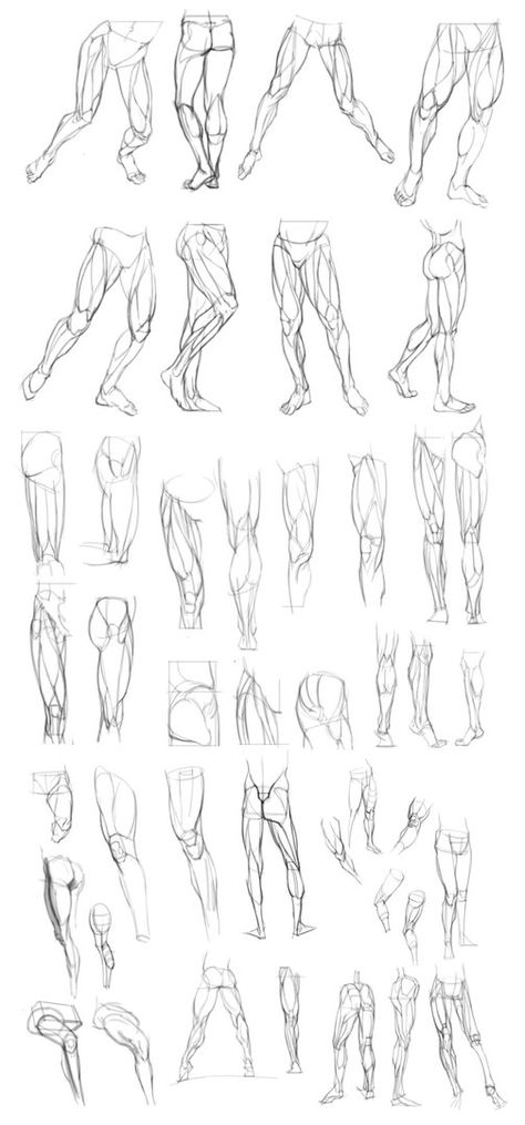 How To Draw Male Buttocks, Mens Legs Drawing, Comic Legs Drawing, Leg Practice Drawing, Legs Study Drawing, Leg Sketch Reference, Muscular Leg Drawing, Mens Legs Reference, Legs From Behind Reference