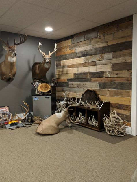 What To Do With Deer Sheds Ideas, Hunting Mancave Ideas, Basement Hunting Man Cave, Displaying Deer Mounts, Hunting Cabin Bedroom, Deer Room Decor, Basement Hunting Room, Deer Shed Display, Hunting Basement Ideas