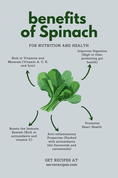 Discover the amazing health benefits of spinach! 🌿 Packed with vitamins A, C, K, and iron, spinach boosts your immune system, improves digestion, supports heart health, and fights inflammation with powerful antioxidants. Whether raw or cooked, adding this nutrient-rich superfood to your meals is an easy way to nourish your body. Try it today and get delicious spinach recipes at serverecipes.com! 💚 #HealthyEating #Spinach #Superfood #Nutrition Health Benefits Of Spinach, Benefits Of Spinach, Spinach Recipes Healthy, Spinach Benefits, Spinach Juice, Raw Spinach, Iron Rich Foods, Iron Rich, Nourish Your Body