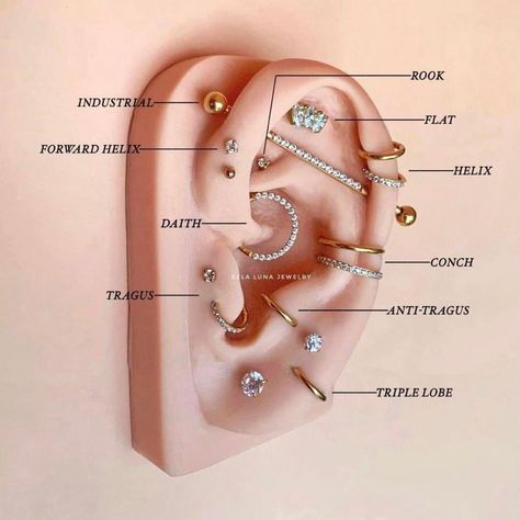 Piercings Ear Names Earrings, Different Types Of Piercings Ears, Pericings Name, Piercings With Names, Peircings Earring Ideas Names, Ear Piercing Ideas Names, Nom Piercing Oreille, Female Ear Piercings, Peircings Women Ear Chart With Names