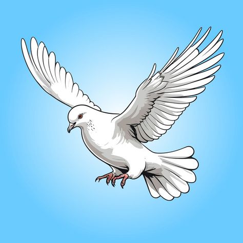 Pegion Bird Flying, Dove Freedom, Pigeon Flying, Peace Pigeon, Flying Dove, Flying Pigeon, Dove Flying, Dove Images, Bird Png