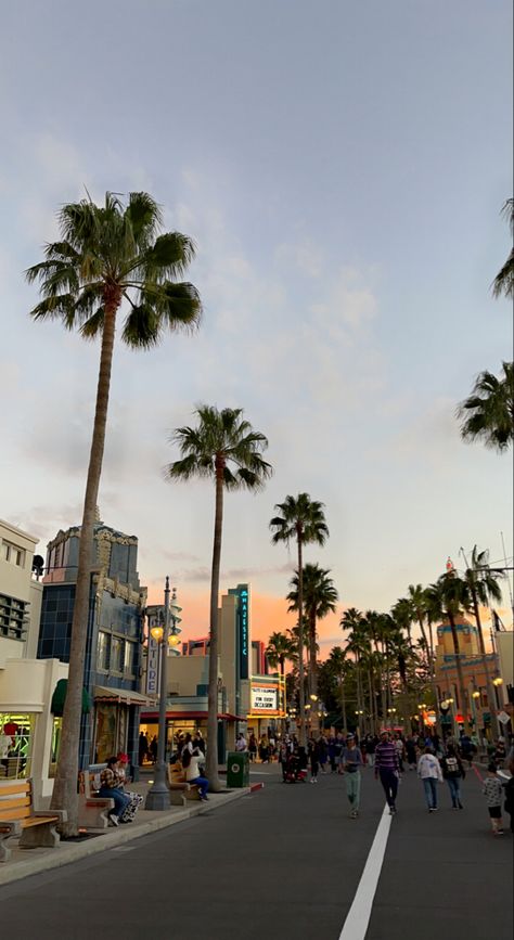 sunset, palm trees, disney world, hollywood studios Orlando Florida Disney World, Orlando Florida Aesthetic Disney, Disney Vacation Aesthetic, Disney In The Summer, Hollywood Studios Florida, Disneyland Orlando Florida, Disney Florida Aesthetic, Disneyland Florida Aesthetic, Disney Vision Board