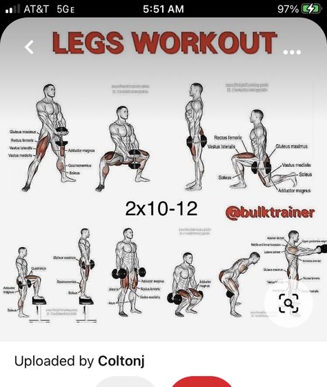 Work Out Leg Day, Leg Work Out For Men, Leg Exercises At Home Men, Leg Dumbell Workout For Men, Dumbell Legs Workout, Leg Day Workout With Dumbbells, Legs Workout At Gym, Shredded Legs Workout, Bulk Legs Workout