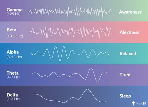 Delta Brain Waves, Alpha Brain Waves, 7hz Theta Waves, Different Frequencies, Brain Frequencies, Sound Frequency Waves, Brain Frequency, Brainwave Frequencies, Hz Frequencies