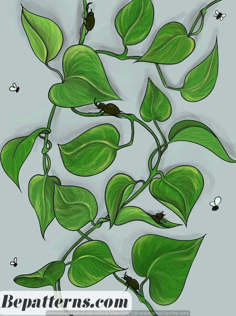 Garden Planters | Cozy Garden Ideas | Beginner Tutorial Pothos Vine Drawing, Pothos Plant Painting, Pathos Painting, Pothos Plant Drawing, Pothos Illustration, Pothos Painting, Pothos Drawing, Pothos Tattoo, House Plant Art