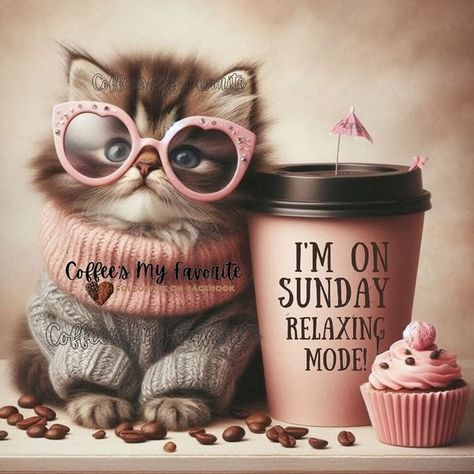 Food Questions, Good Morning Animals, Sunday Morning Coffee, Monday Coffee, Sunday Coffee, Happy Day Quotes, Coffee Geek, Good Morning Funny Pictures, Daily Greetings