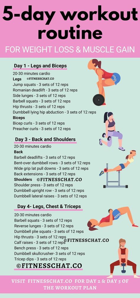 Slimming Down after 40 Muscle Gain Workout Women, Gain Muscle Women, 5 Day Workout Plan, 5 Day Workout Routine, Day Workout Plan, Muscle Gain Workout, Weight Gain Workout, At Home Workouts For Women, Improve Energy Levels