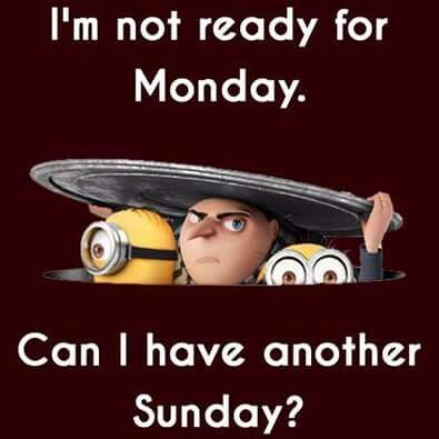 Monday Moanings | Tails Around the Ranch Funny Sunday Memes, Sunday Meme, Sunday Humor, Sunday Quotes Funny, Quotes Hilarious, Funny Minion Memes, Minion Jokes, Weekday Quotes, Monday Humor