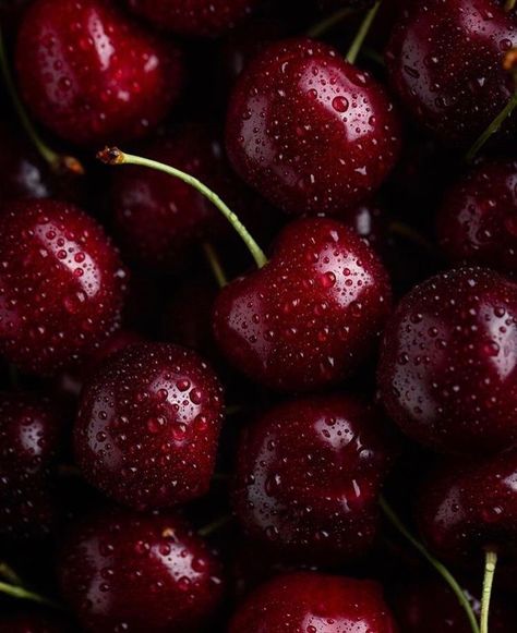 Burgundy Aesthetic, I See Red, Cherry Wine, Fruit Photography, Tapeta Galaxie, Sour Cherry, Stone Fruit, Jolie Photo, Favorite Snack