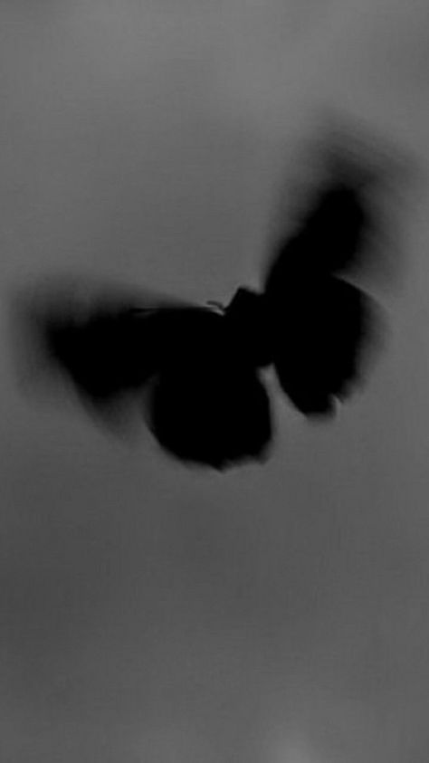 - butterfly in black in 2022 | Fotografi seni, Latar belakang, Kupu-kupu Aesthetic Photos, Dark Aesthetic, Fondos De Pantalla, To Share, The World, Black