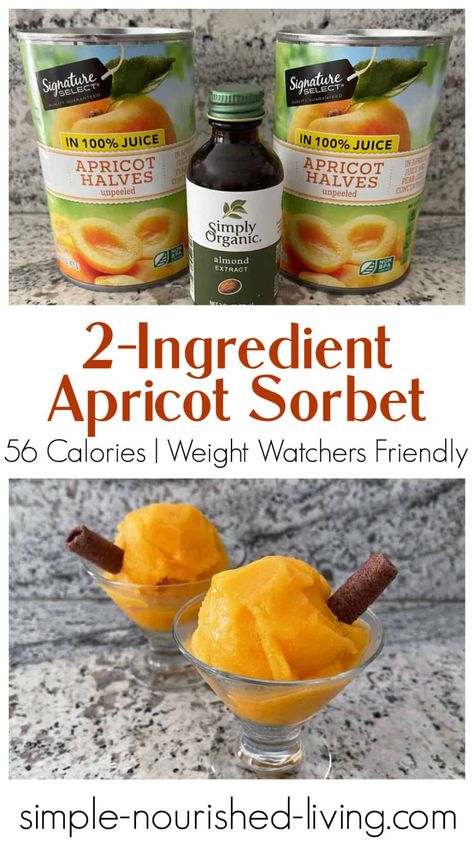 Canned Apricots, Apricot Sorbet, Apricot Dessert, Chocolate Sorbet, Low Calorie Fruits, Low Fat Snacks, Apricot Recipes, Recipe Builder, Feed Bag