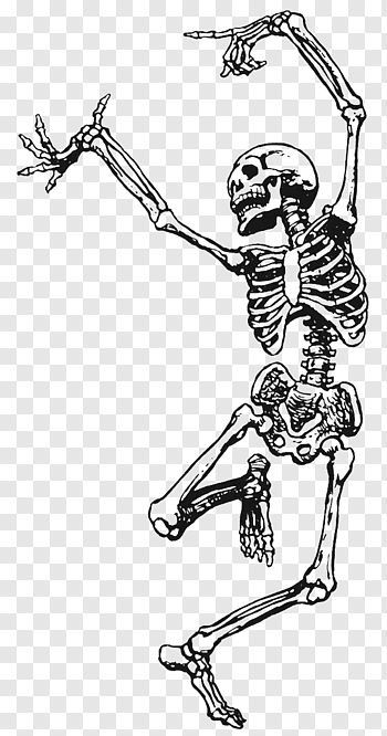 Skeleton Playing Instrument, Drawings Of Skeletons, Art Png Aesthetic, Skeleton Art Aesthetic, Skeleton Doodle, Graffiti Skeleton, Dancing Skeleton Tattoo, Dance Art Drawing, Drawing Skeleton