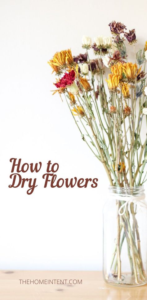 How To Dry Daisies, Flowers That Can Be Dried, How To Make A Dried Flower Bouquet, How To Dry Bouquet Flowers, Dry Flowers Diy, Diy Dried Flower Bouquet, How To Dry Flowers, Dry Flower Bouquet, Homecoming Flowers