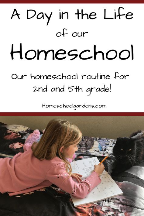 5th Grade Homeschool, Homeschool Daily Schedule, Literature Based Curriculum, Abeka Homeschool, Middle School Science Experiments, Homeschool Routine, School Schedule, Homeschool Schedule, Homeschool Life