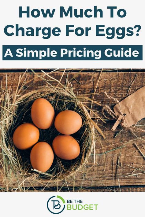 Chicken Eggs For Sale Signs, Fresh Eggs For Sale Sign, Eggs For Sale Sign, Backyard Nursery, Selling Eggs, Sale Signage, Chicken Raising, Raising Quail, Regenerative Farming