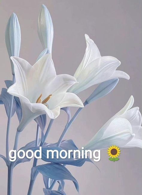 Very Good Morning Images, Gud Morning Images, Nice Good Morning Images, Lovely Good Morning Images, Good Morning Saturday, Good Morning Flowers Quotes, Good Morning Roses, Good Morning Images Hd, Good Morning Beautiful Flowers