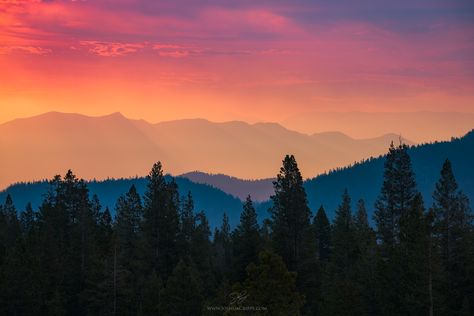 Josh Cripps explains why he loves to capture landscape photos with it telephoto lens. Mountains And Trees, Landscape Photographers, In The Mountains, Landscape Photos, Landscape Photography, The Sun, Lenses, Trees, Sun