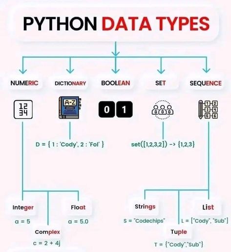 python programming python programming for beginners Python Basics For Beginners, Computer Science Major Aesthetic, Python Wallpaper, Python Ideas, Programming Aesthetic, Python Programming For Beginners, Programming For Beginners, Programming Python, Networking Basics