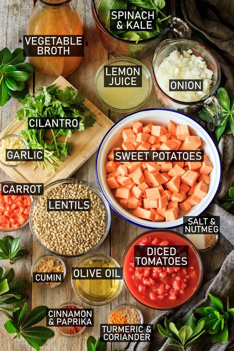 Meatless Stew Crock Pot, African Lentil Stew, Blue Zone Lentil Soup, Healthy Stews Clean Eating, Lentils Stew Recipe, Lentil Vegetable Stew, Lentil And Vegetable Stew, Moroccan Lentil Stew, Sweet Potato Lentil Stew