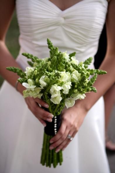 Lovely Hand Tied Bridal Bouquet Of: White Snapdragons & Buds Wedding Reception Centerpieces Diy, Teal Centerpieces, Alter Flowers, Cheap Wedding Centerpieces, Simple Wedding Flowers, Cheap Wedding Flowers, Tropical Wedding Flowers, Blue Wedding Bouquet, Wedding Reception Centerpieces