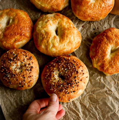 Same Day Bagel Recipe, Mini Bagel Recipes, Mini Bagels Recipe, Types Of Bagels, Bagel Recipes, Best Homemade Bread Recipe, Milk Bread Recipe, Tiny Farm, Mini Bagels