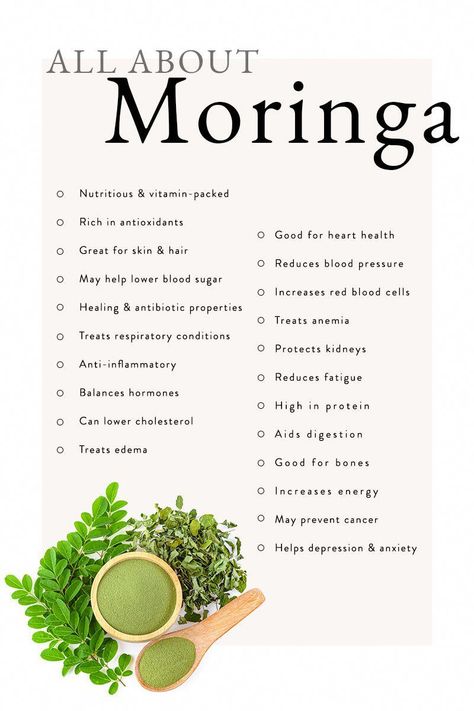 Curious about what the "drumstick tree" can do you for you? We'll break down the facts, the benefits, and the best ways to make moringa work for you! #moringa #herbs #supplements #wellness #HomeJamsandJelliesMadeEasy Magnolia Bark Benefits, Moringa Benefits For Women, Moringa Tea Benefits, What Is Moringa, Daglig Motivation, Moringa Recipes, Moringa Tea, Benefits Of Moringa, Moringa Benefits