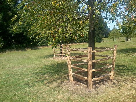 Check Out These Chestnut Tree Guards - Torry Hill Tree Guard Ideas, Trellis Awning, Farm Animals Ideas, Fruit Shrubs, Diy Branches, Tree Guards, Arbor Gate, Tree Protection, Lined Driveway