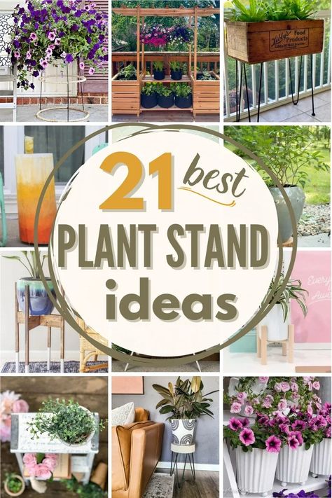 With a few simple supplies and a bit of creativity, you can make an eye-catching display with one of these great DIY plant stand ideas! #DIY #plant #plantstand #DIYplantstand #plantstandideas #DIYplantideas #plants #plantideas #DIYplanters Dyi Plant Stand, Tattoo Trees, Plant Stand Makeover, Plant Stand Decor, Ladder Ideas, Plant Display Ideas, Indoor Plant Wall, Porch Plants, Plant Stand Ideas