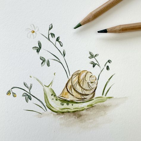 Little snail drawing, watercolor sketch, mixed media illustration, original artwork by Jen Koistinen Cute Snail Sketch, Watercolor Snails, Snail Drawings, Snail Sketch, Snail Artwork, Match Drawing, Snail Watercolor, Snail Painting, Snail Drawing