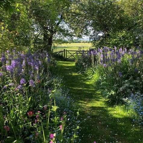 Monty Don, Drømme Liv, Romantic Aesthetic, Cottage Aesthetic, Dream Cottage, Garden Cottage, Alam Yang Indah, Nature Aesthetic, Pretty Places