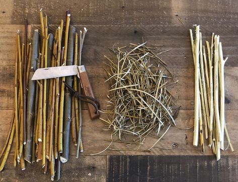 Using Willow Bark as Natural Aspirin | The Art of Manliness Natural Aspirin, Willow Bark Tincture, Crunchy Stuff, Herb Medicine, Medicinal Herbs Remedies, Herbs Remedies, Food Foraging, Natural Medicine Cabinet, Wild Food Foraging