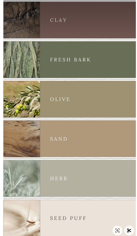 Olive Neutral Color Palette, Pantone Earth Tone Colour Palettes, Kitchen Pallete Color, Green Earth Color Palette, Natural Tone Color Palette, Earth Green Color Palette, Cedar Color Palette, Color Palette Beauty Brand, Sage Beige Color Palette