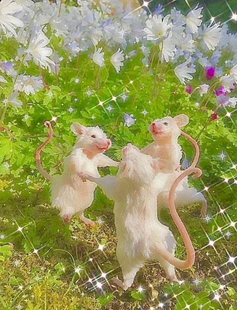 Dancing Mice, Cottagecore Painting, Painting Cottagecore, Cute Mice, Cottagecore Wallpaper, Aesthetic Cottagecore, Painting Aesthetic, Aesthetic Poster, Aesthetic Painting